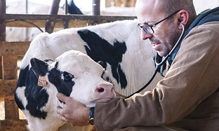 Suplementos Nutricionales y Reconstituyentes Inyectables